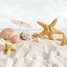 Estrella-de-Mar-350x350