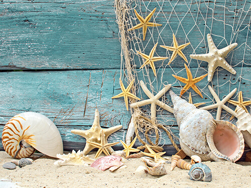 Playa-de-Ensueño Playa-de-Ensueño